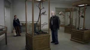 Un piccione seduto su un ramo riflette sull&#039;esistenza - Trailer italiano
